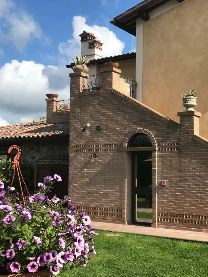 Le Case Della Baracchina Pisa